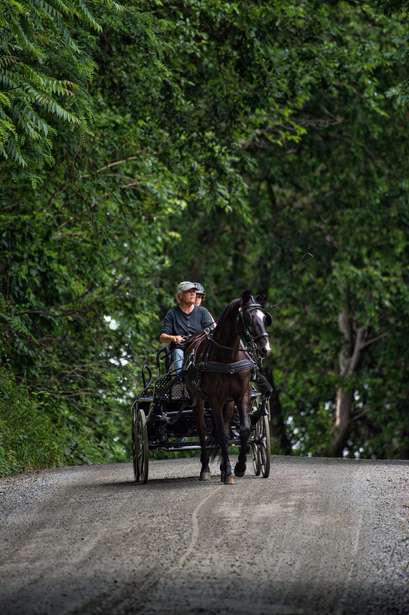 Ensuring Loudoun County’s Country Roads Remain Rural