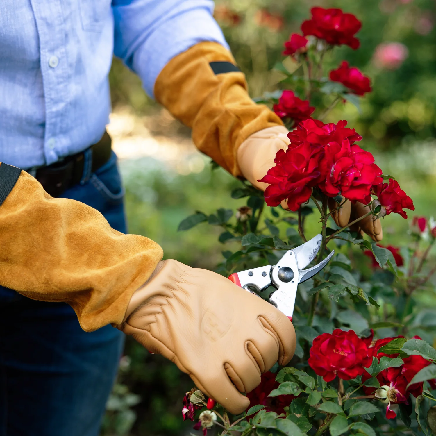 Must-Have Gardening Gadgets & Gear for Spring