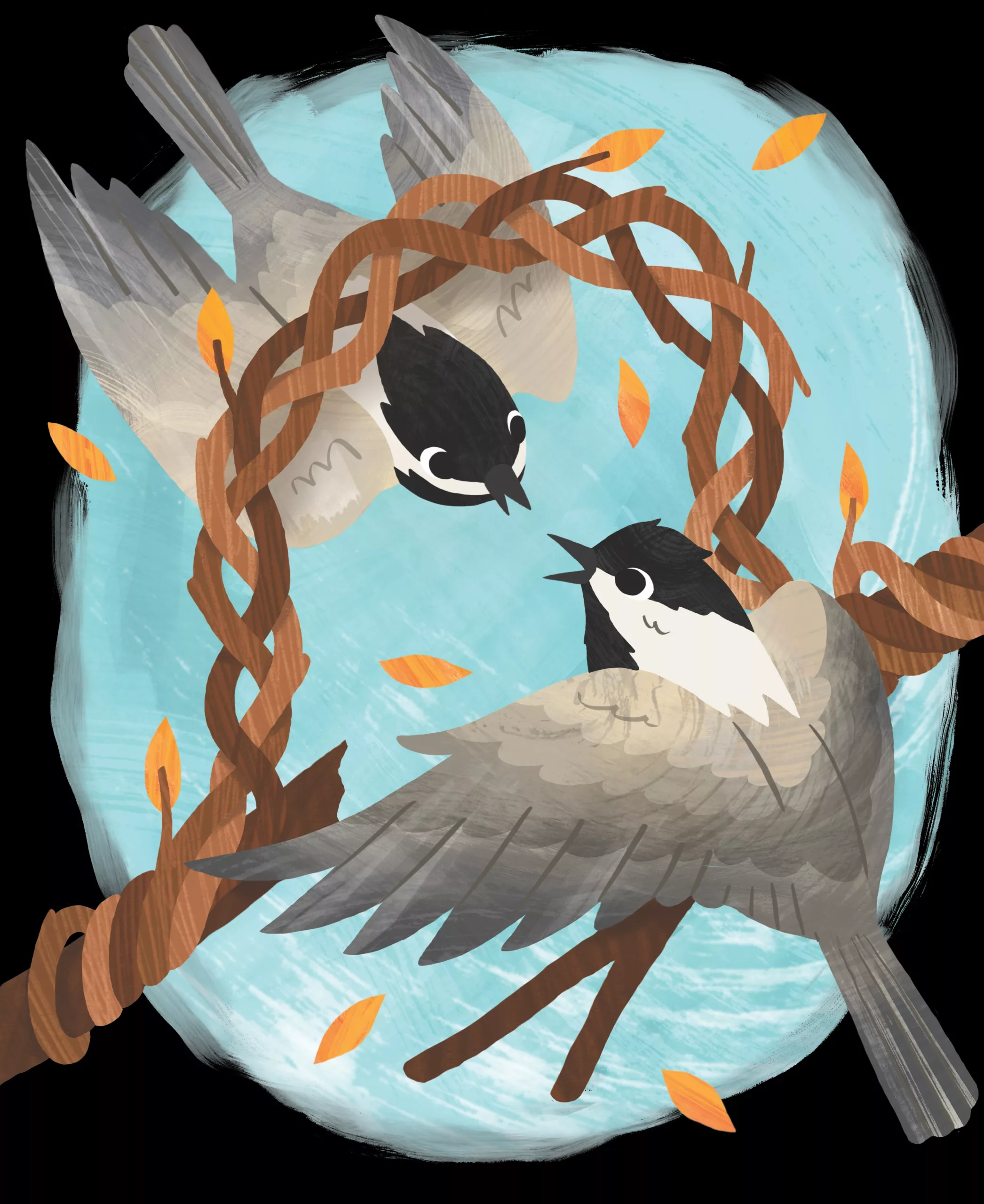 Chickadees are Easy to Recognize, Hard to Tell Apart