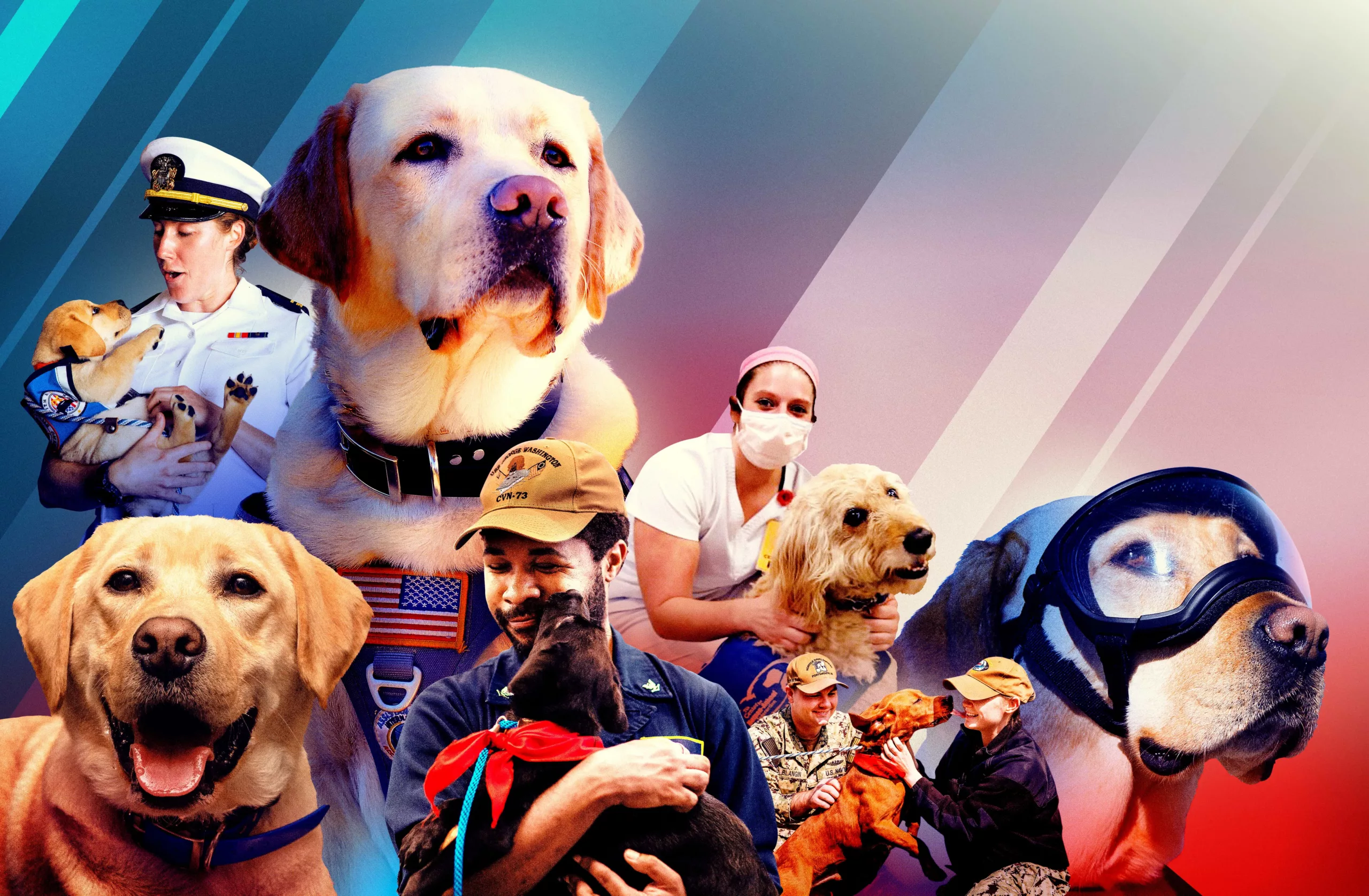 How Service Dogs are Breaking New Ground in Healthcare