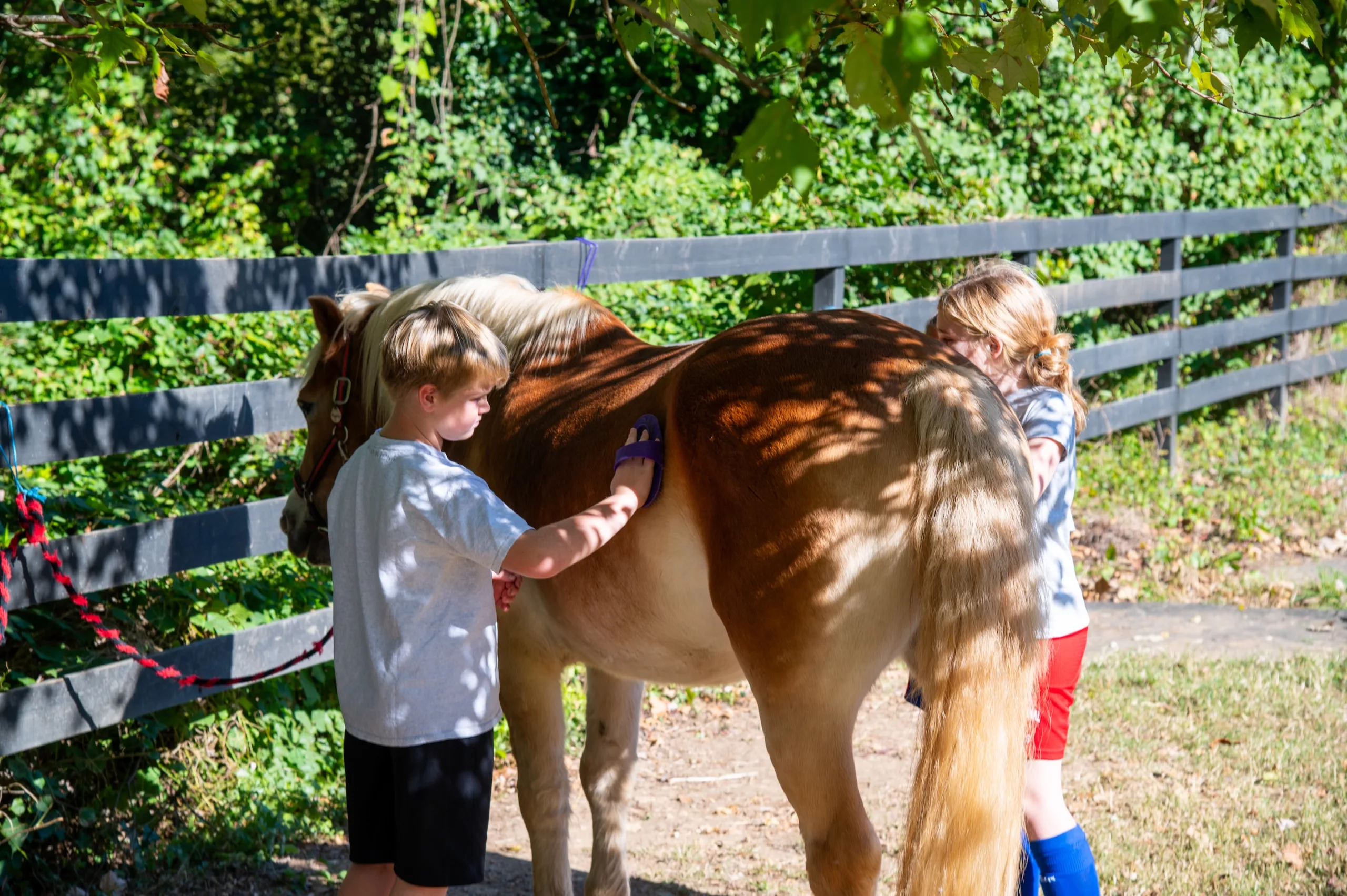 Historic Riding Program Evolves Into Learning Tool