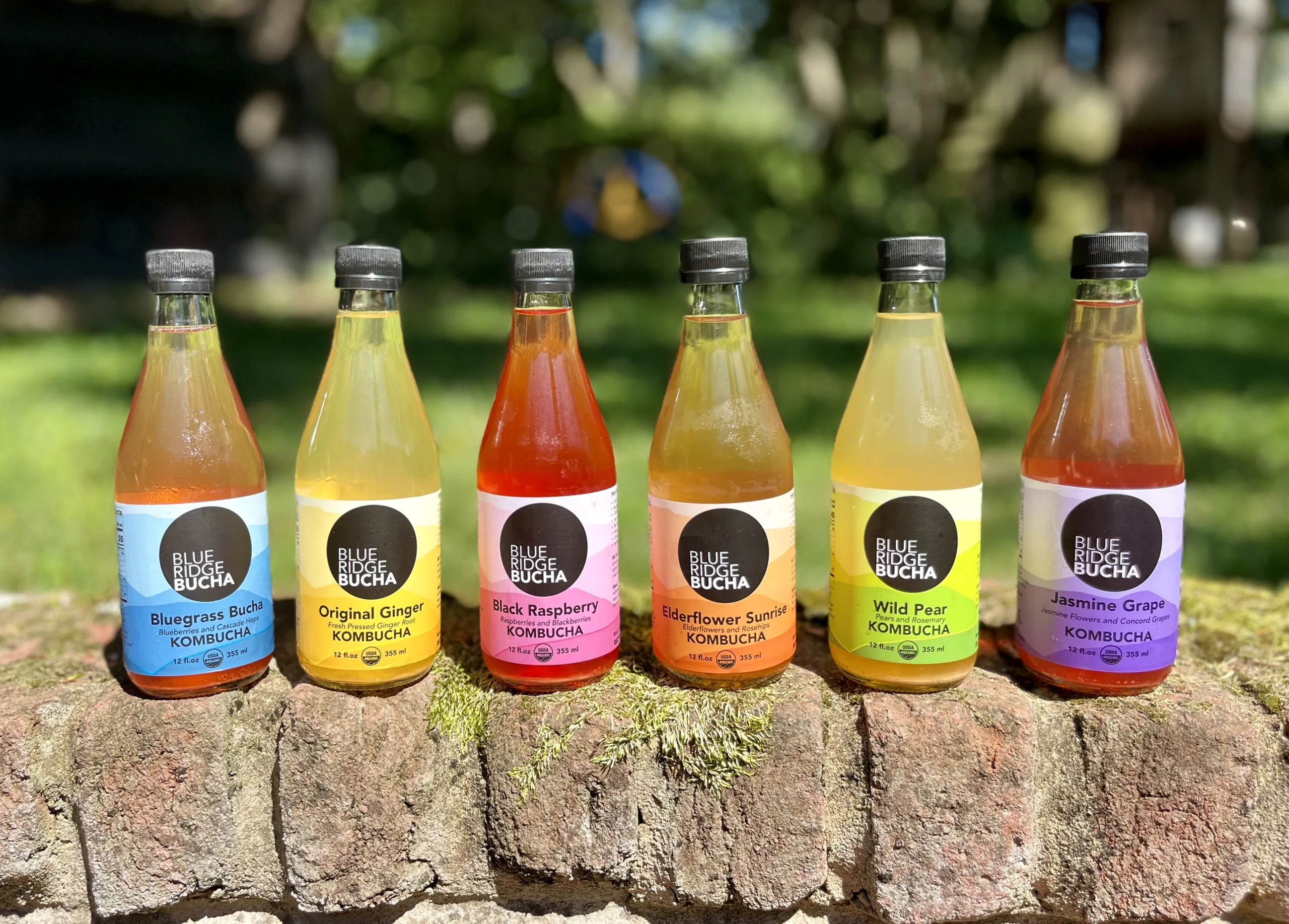 Waynesboro’s Blue Ridge Bucha Makes Gut Health Fun