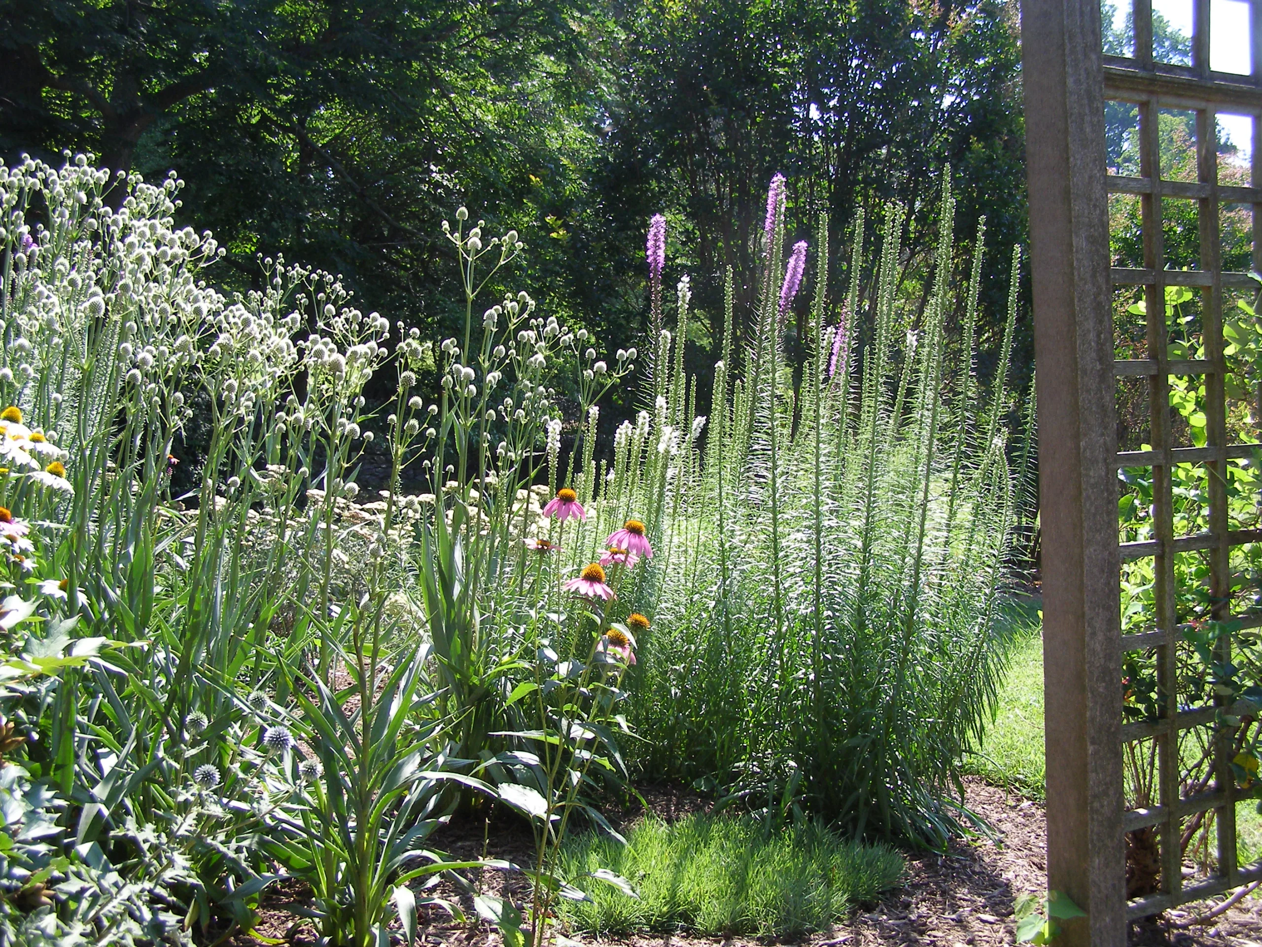 Blandy Experimental Farm Provides Environmental Education