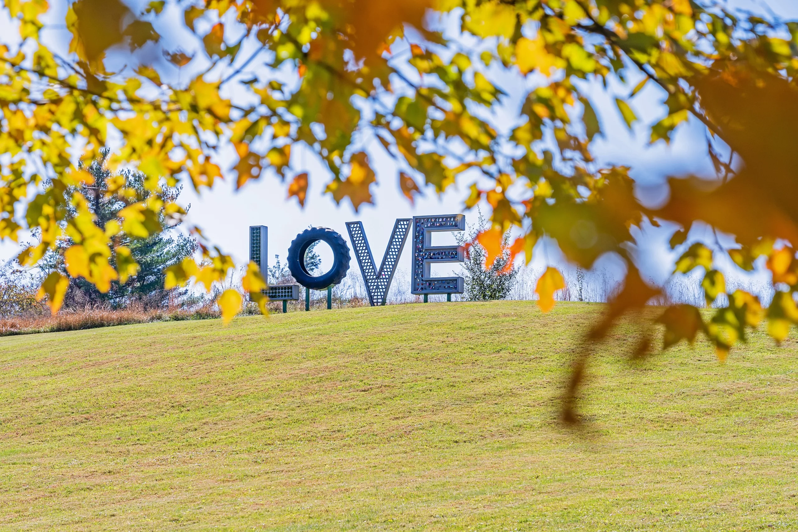 Discover the LOVEwork Signs of Northern Virginia