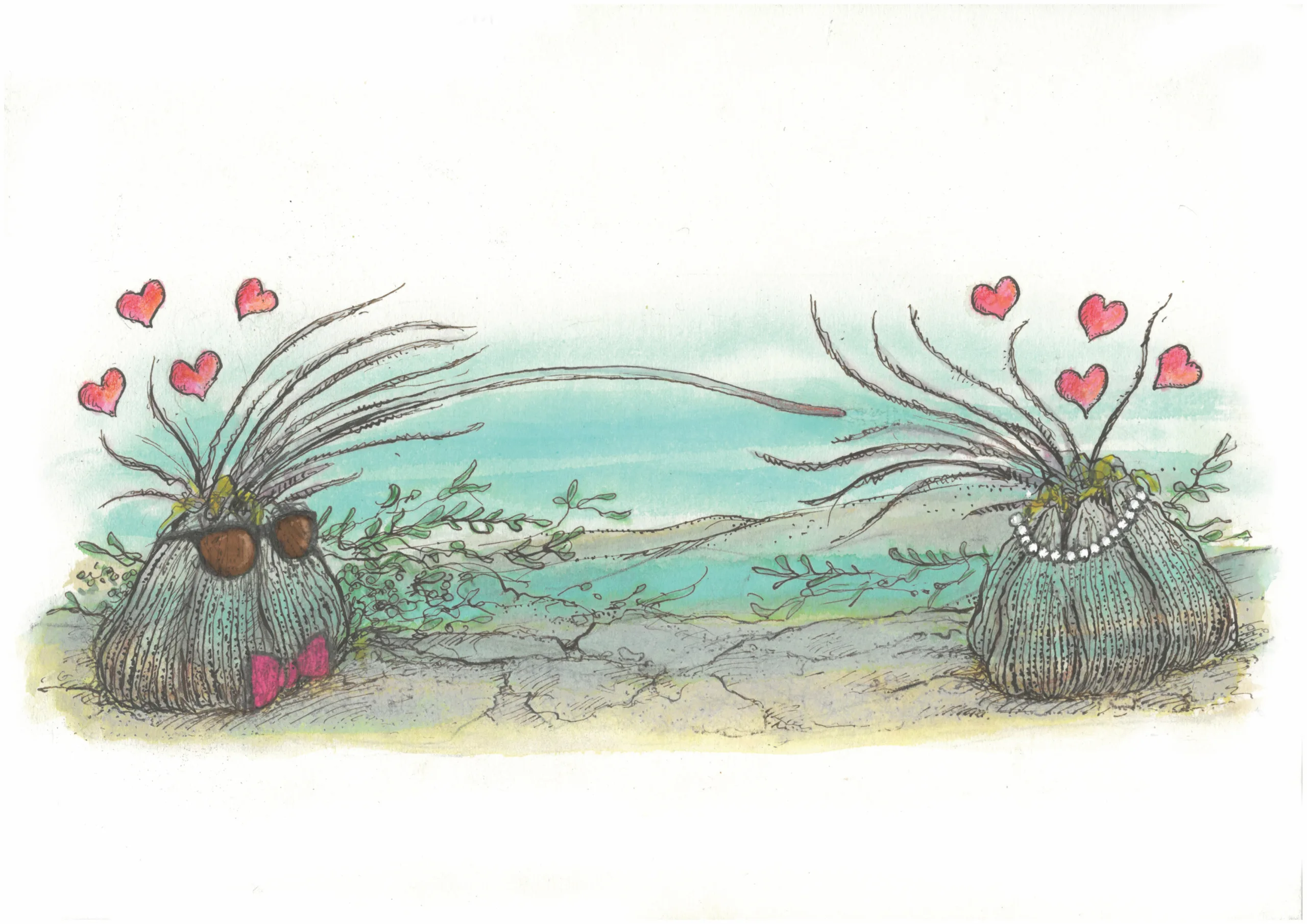 Stuck in One Place, Barnacles Still Manage to Get Around