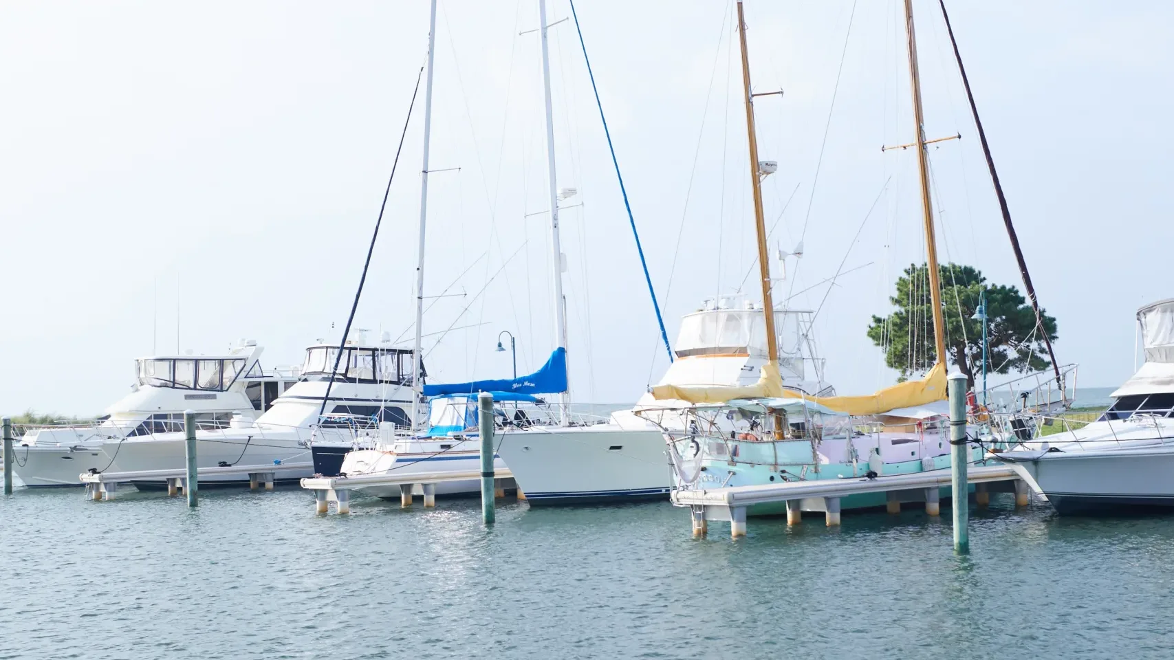 Discover Irvington’s Charm