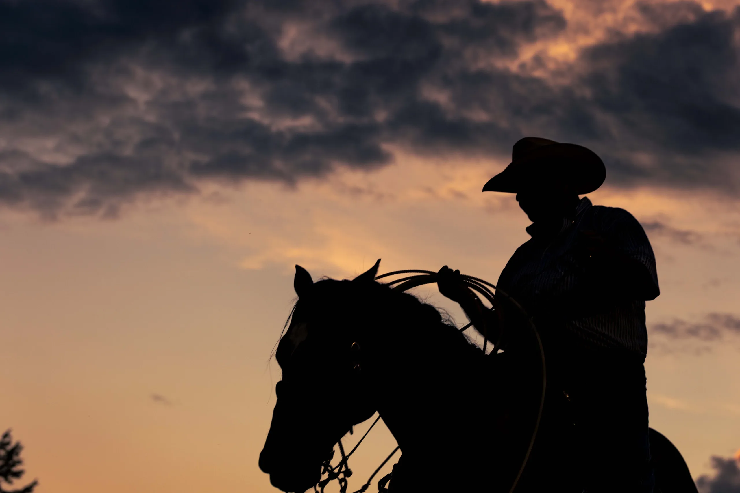 Cowboys in Virginia