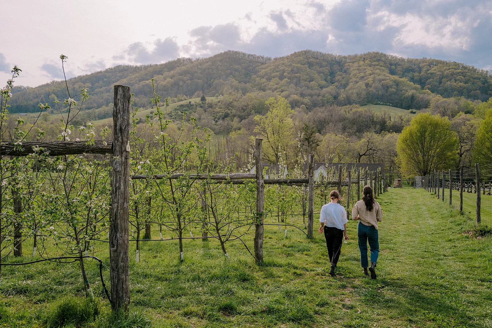 Spend a Weekend in Warm Springs