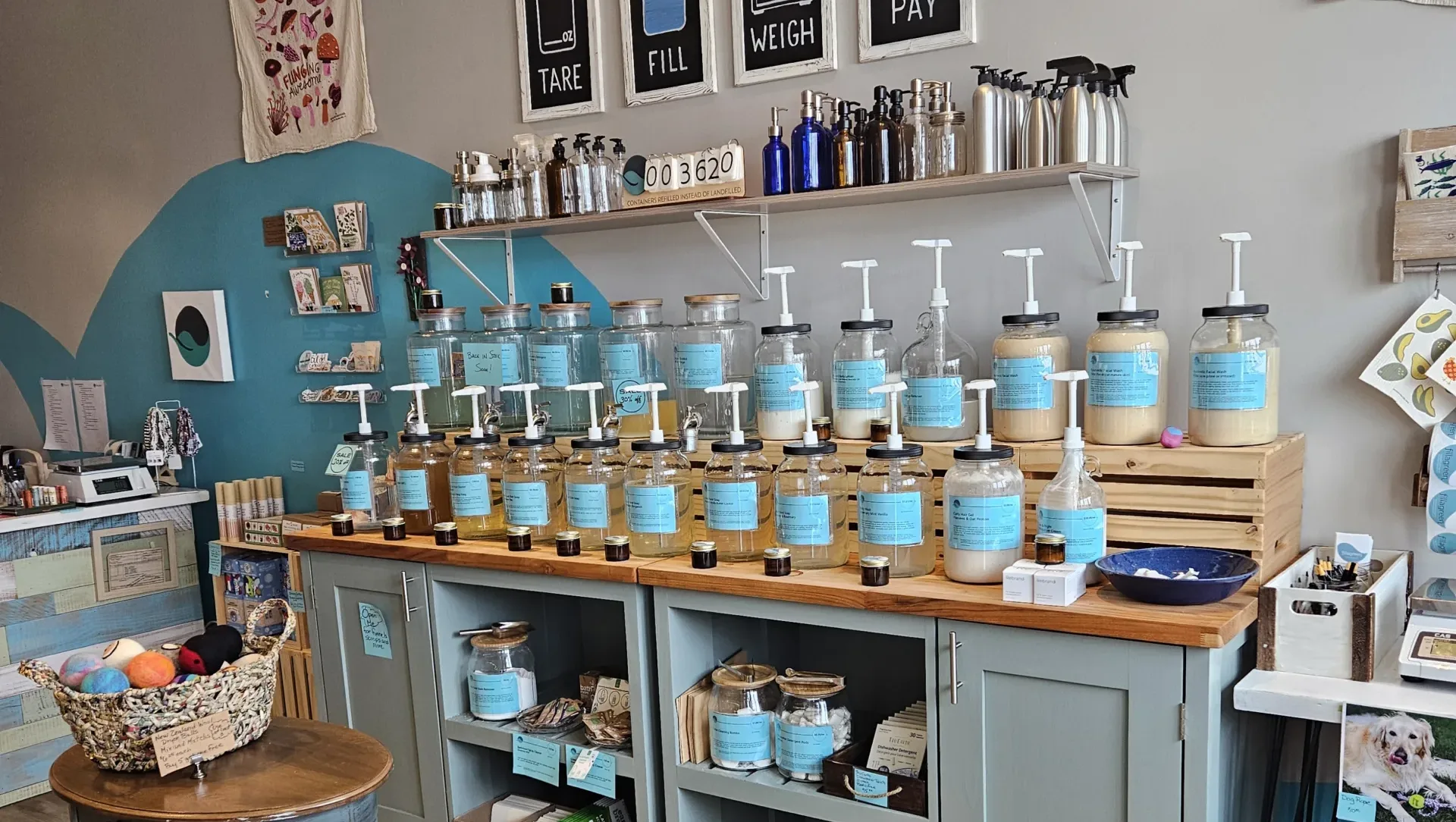 Zero-Waste Stores for Sustainable Shopping in NoVa