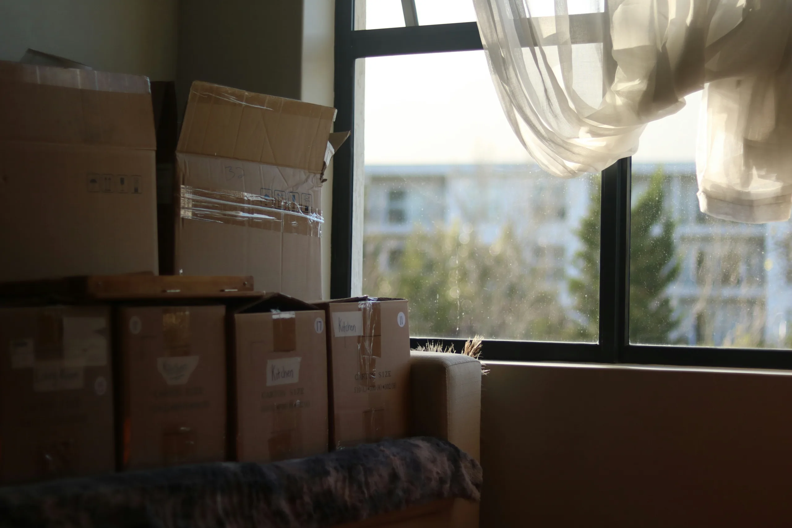 Specialized Moving Companies That Simplify Your Transition