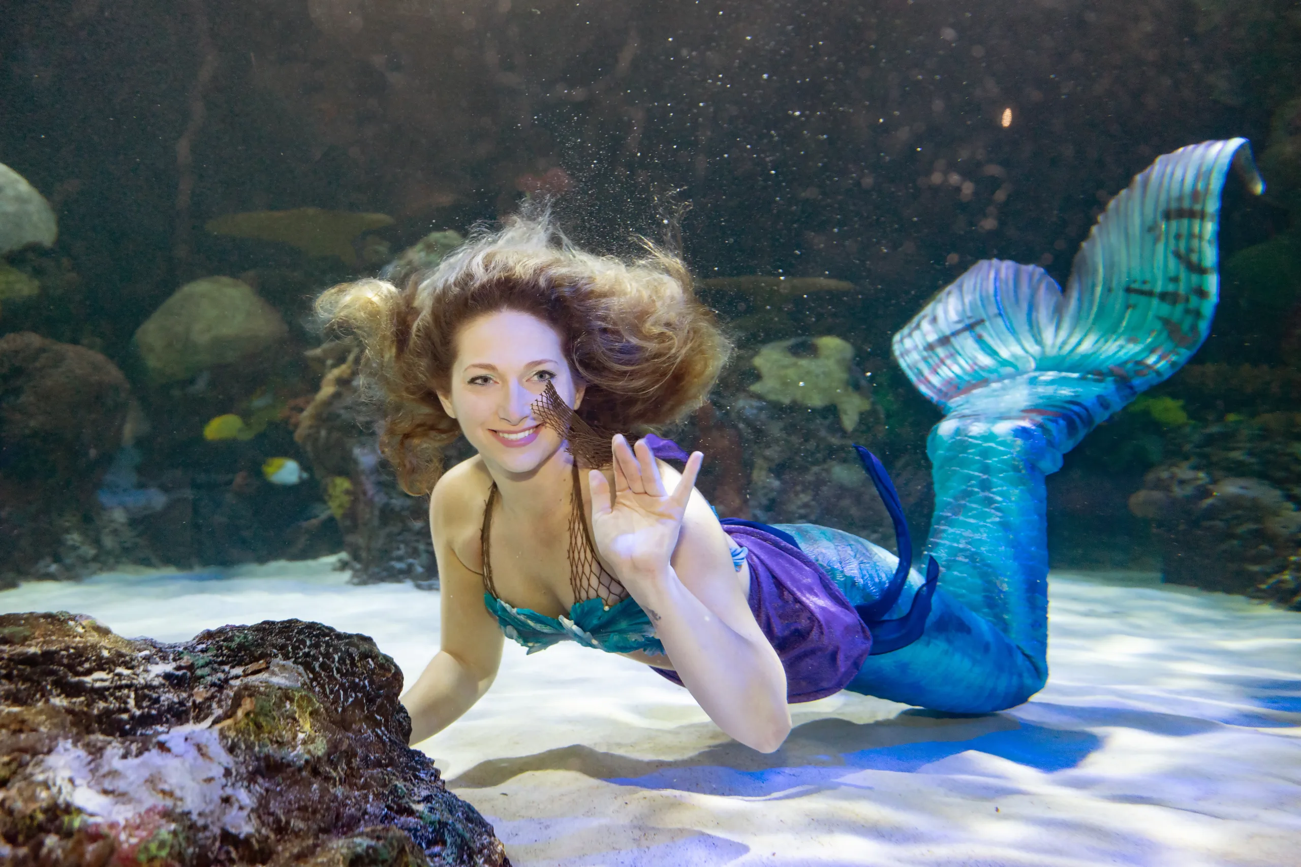 Mermaids Make a Splash at the Virginia Aquarium & Marine Science Center